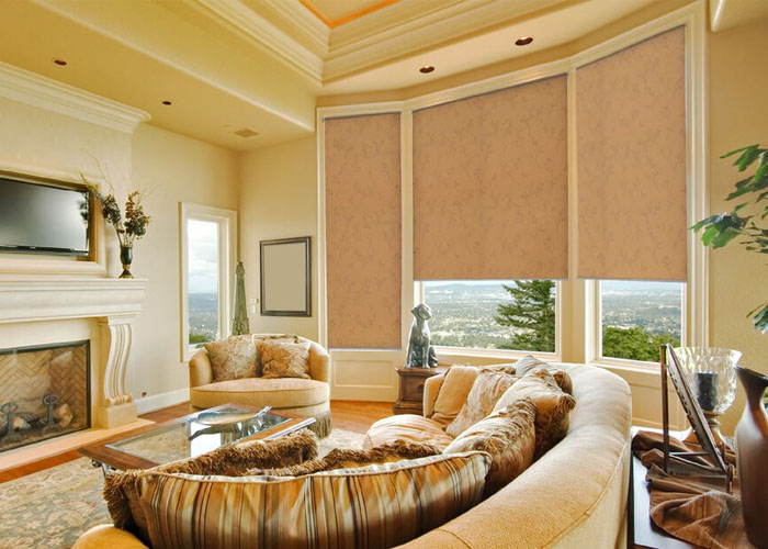 roller shades product